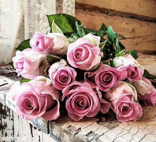 عکس گل زیبا , تصویر پروفایل گلهای زیبا و عاشقانه , تصاویر گل های زیبا
